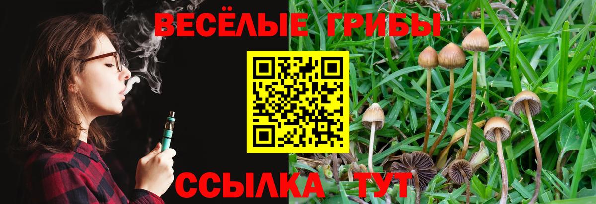 Шарыпово  Галлюциногенные грибы мицелий  Вход с VPN 